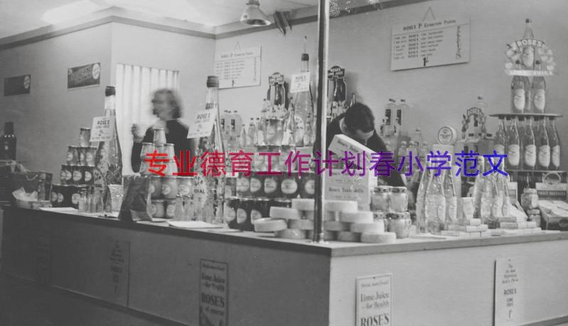 专业德育工作计划春小学范文（17篇）