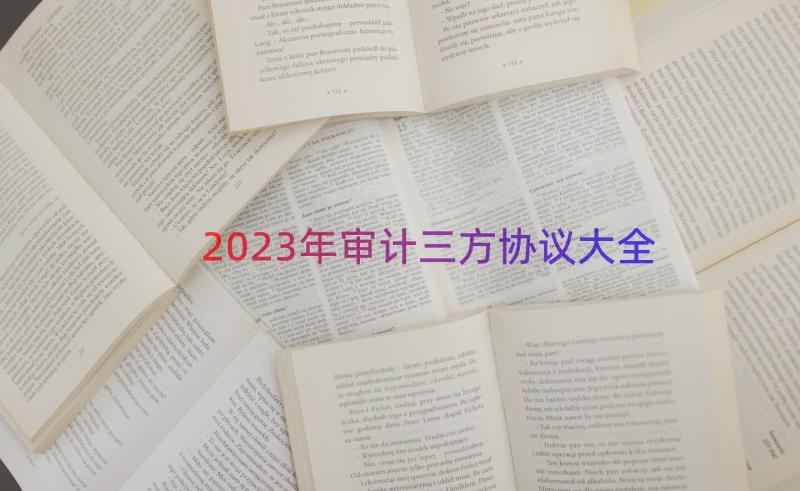 2023年审计三方协议大全（13篇）