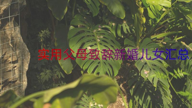 实用父母致辞新婚儿女（汇总14篇）