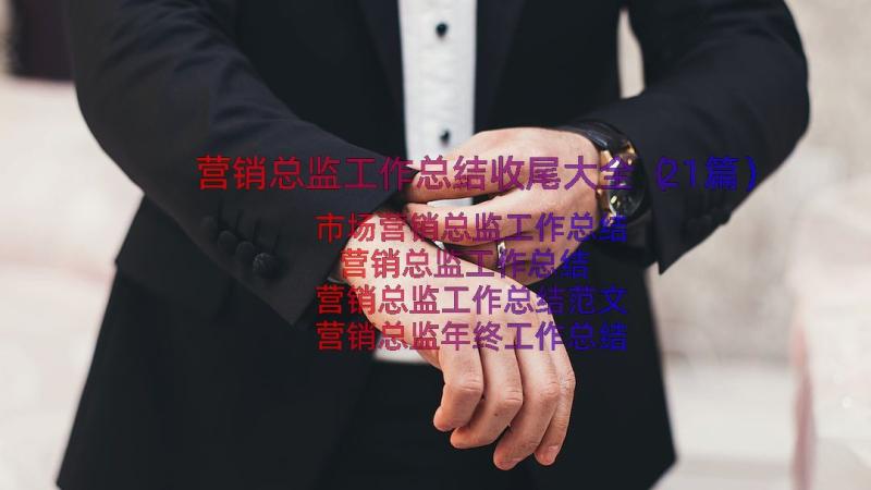 营销总监工作总结收尾大全（21篇）