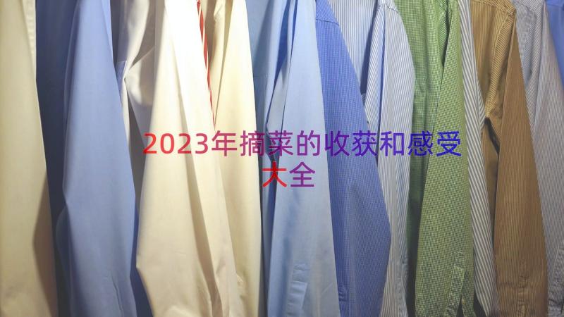 2023年摘菜的收获和感受大全（13篇）