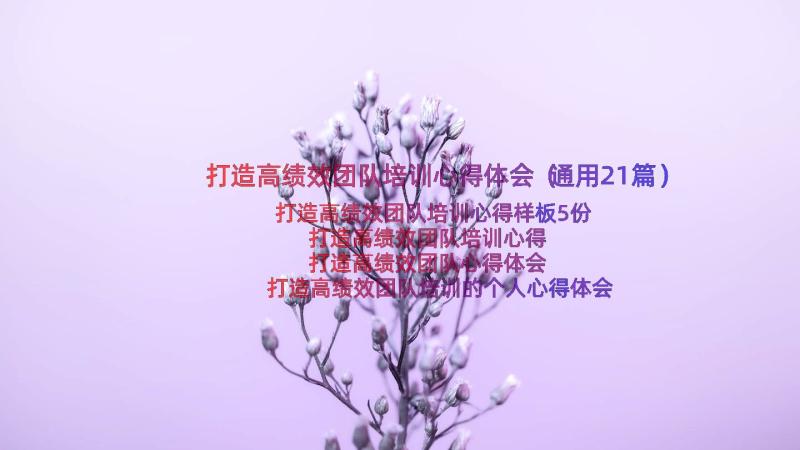 打造高绩效团队培训心得体会（通用21篇）