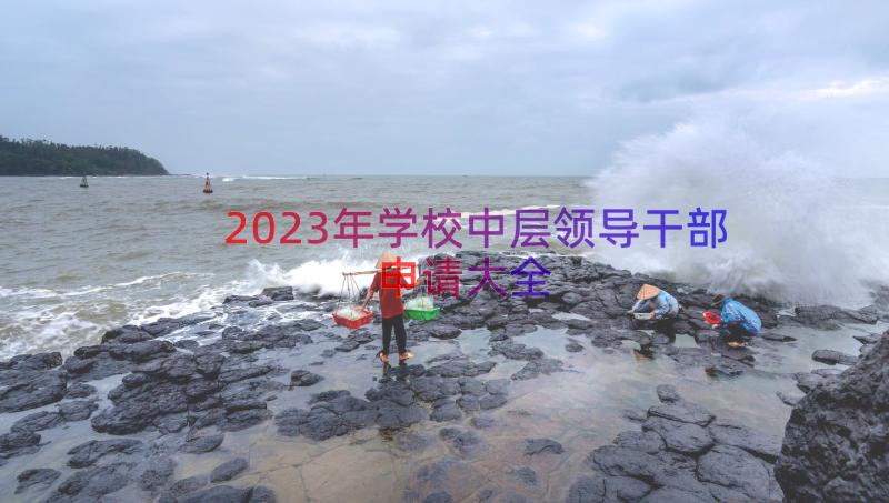 2023年学校中层领导干部申请大全（22篇）