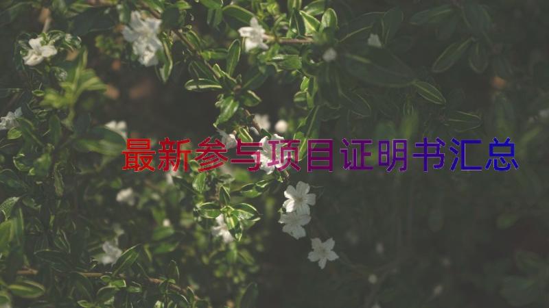 最新参与项目证明书（汇总15篇）