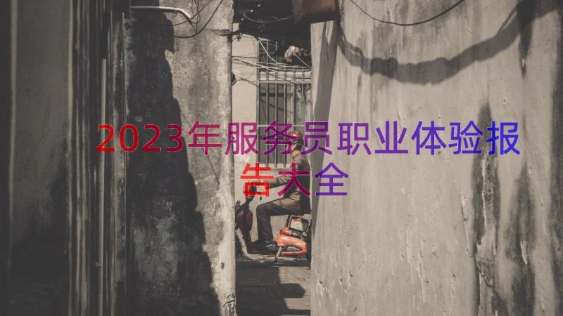 2023年服务员职业体验报告大全（13篇）