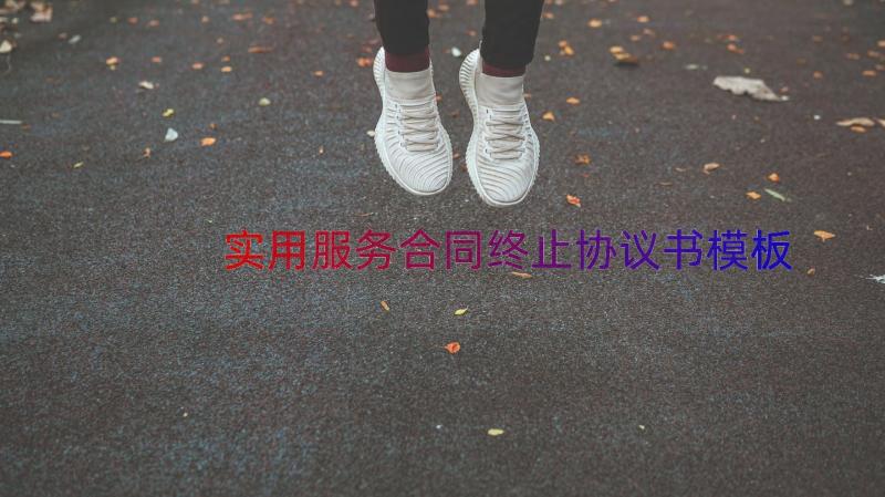 实用服务合同终止协议书（模板16篇）