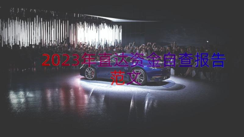 2023年直达资金自查报告范文（15篇）