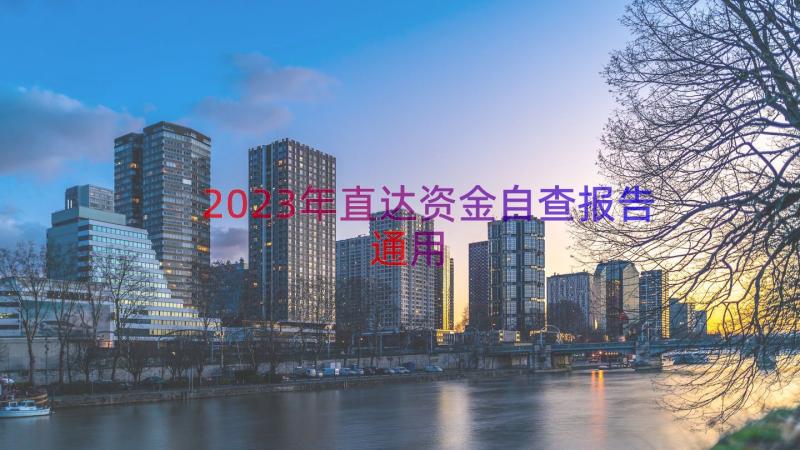 2023年直达资金自查报告（通用12篇）