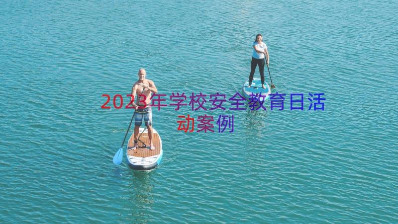 2023年学校安全教育日活动（案例16篇）