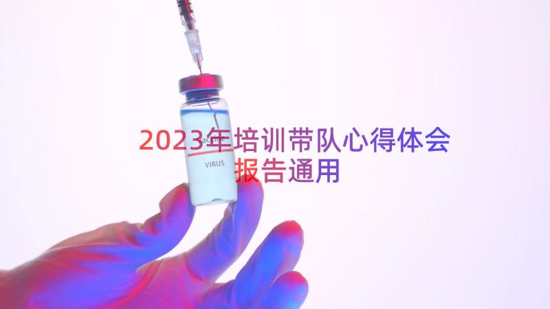 2023年培训带队心得体会报告（通用12篇）