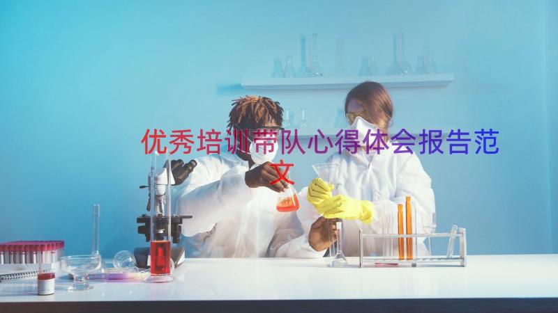 优秀培训带队心得体会报告范文（15篇）