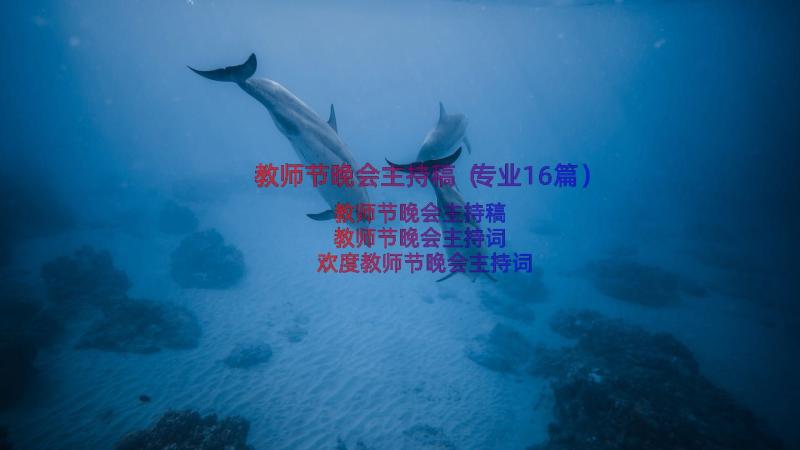 教师节晚会主持稿（专业16篇）