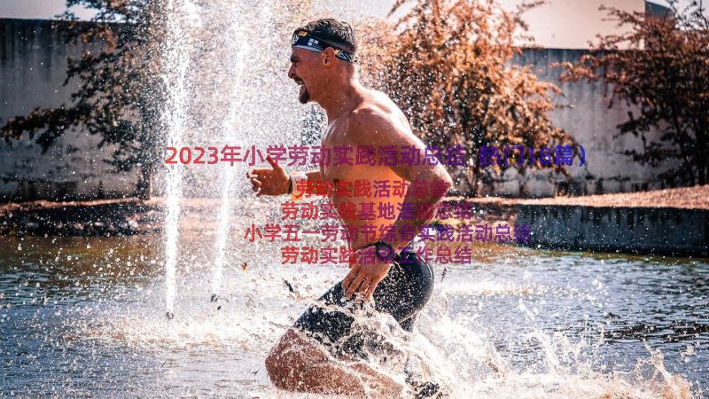 2023年小学劳动实践活动总结（热门18篇）