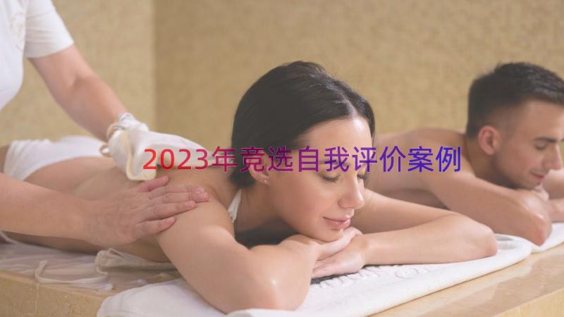 2023年竞选自我评价（案例16篇）