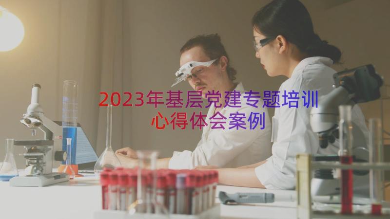 2023年基层党建专题培训心得体会（案例12篇）