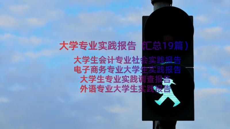 大学专业实践报告（汇总19篇）