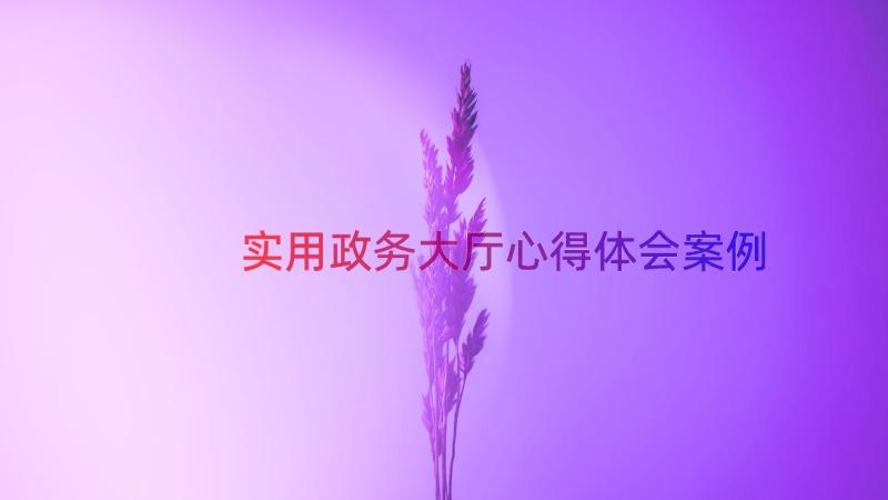 实用政务大厅心得体会（案例13篇）