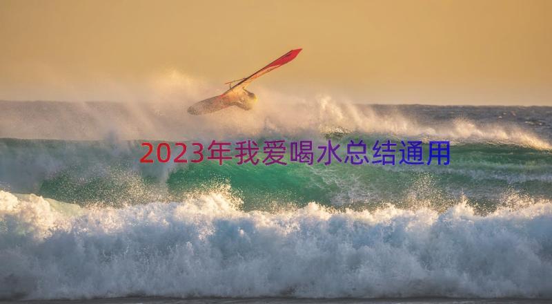 2023年我爱喝水总结（通用15篇）