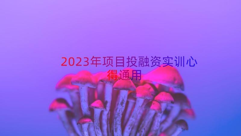 2023年项目投融资实训心得（通用15篇）