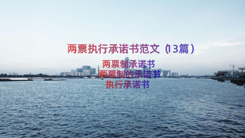 两票执行承诺书范文（13篇）