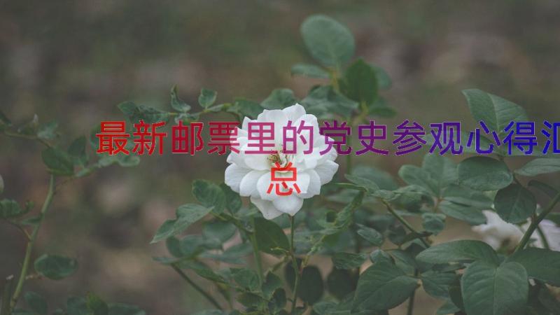 最新邮票里的党史参观心得（汇总16篇）