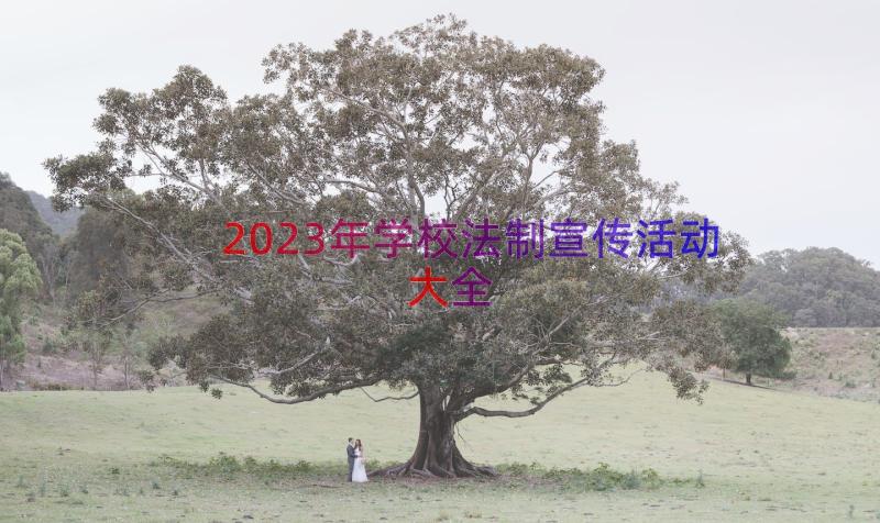 2023年学校法制宣传活动大全（16篇）