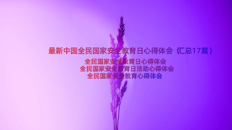 最新中国全民国家安全教育日心得体会（汇总17篇）