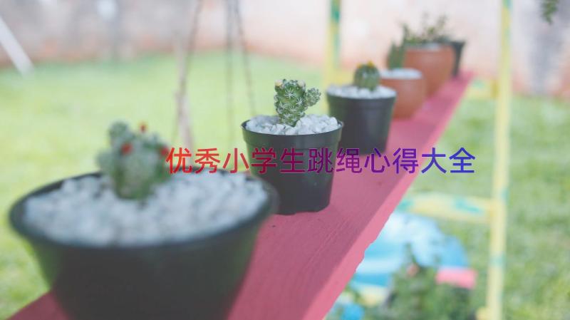 优秀小学生跳绳心得大全（15篇）