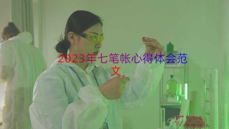 2023年七笔帐心得体会范文（13篇）