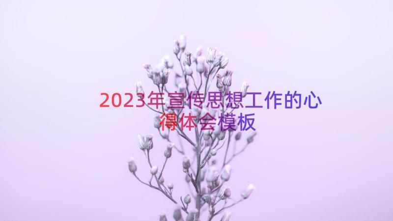 2023年宣传思想工作的心得体会（模板14篇）