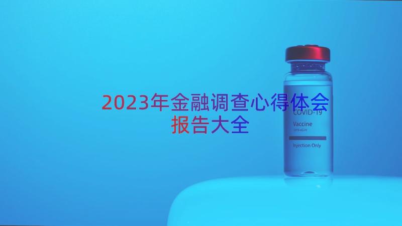 2023年金融调查心得体会报告大全（16篇）