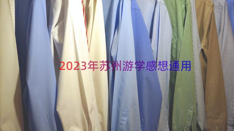 2023年苏州游学感想（通用19篇）