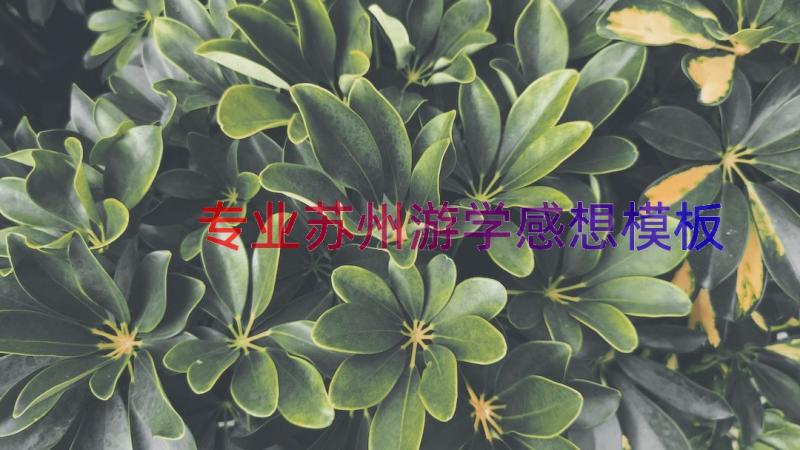 专业苏州游学感想（模板18篇）