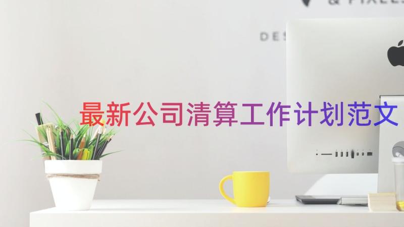 最新公司清算工作计划范文（15篇）