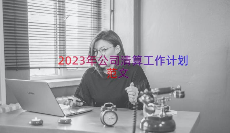 2023年公司清算工作计划范文（17篇）