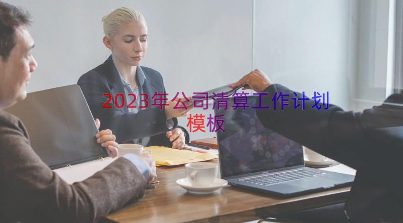 2023年公司清算工作计划（模板17篇）