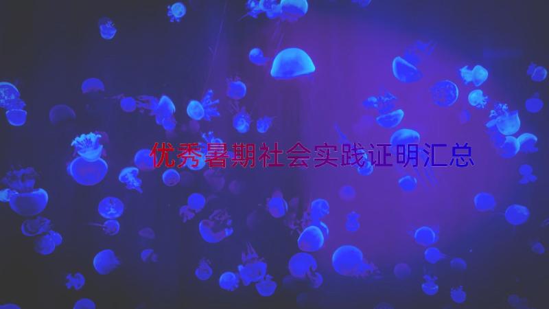 优秀暑期社会实践证明（汇总14篇）