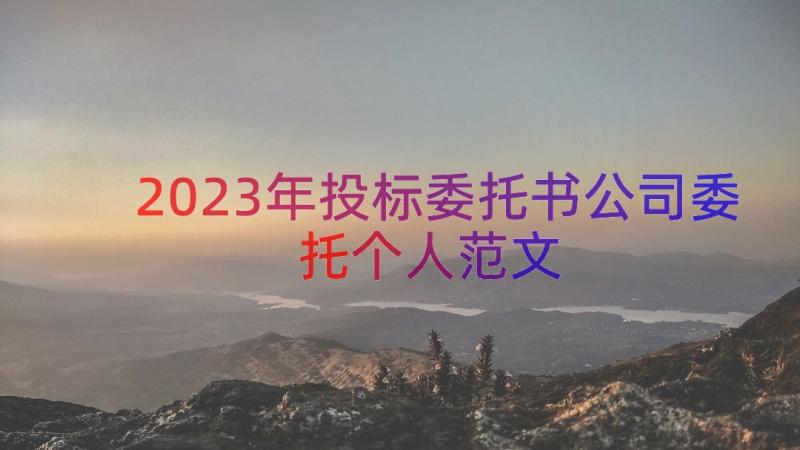 2023年投标委托书公司委托个人范文（17篇）