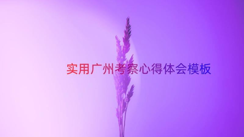 实用广州考察心得体会（模板16篇）