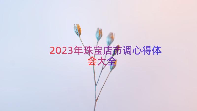 2023年珠宝店市调心得体会大全（17篇）