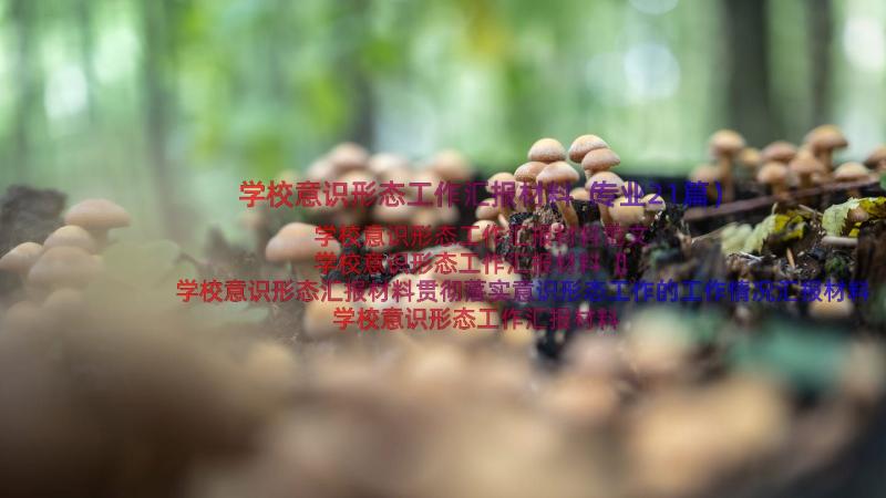 学校意识形态工作汇报材料（专业21篇）