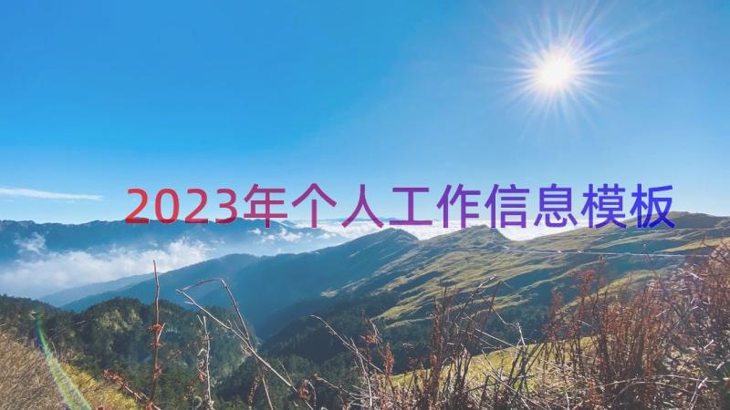 2023年个人工作信息（模板20篇）