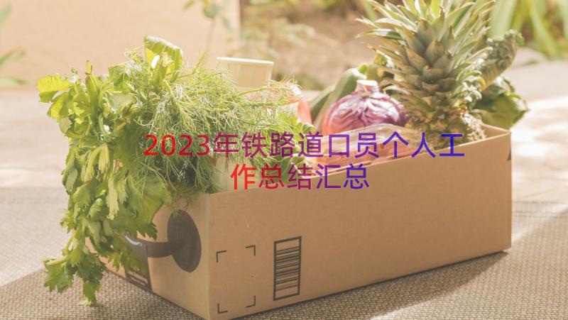 2023年铁路道口员个人工作总结（汇总14篇）