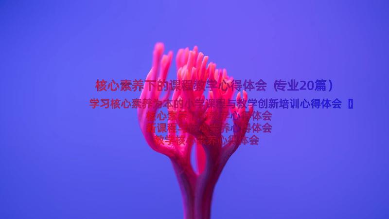 核心素养下的课程教学心得体会（专业20篇）