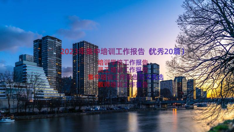 2023年集中培训工作报告（优秀20篇）