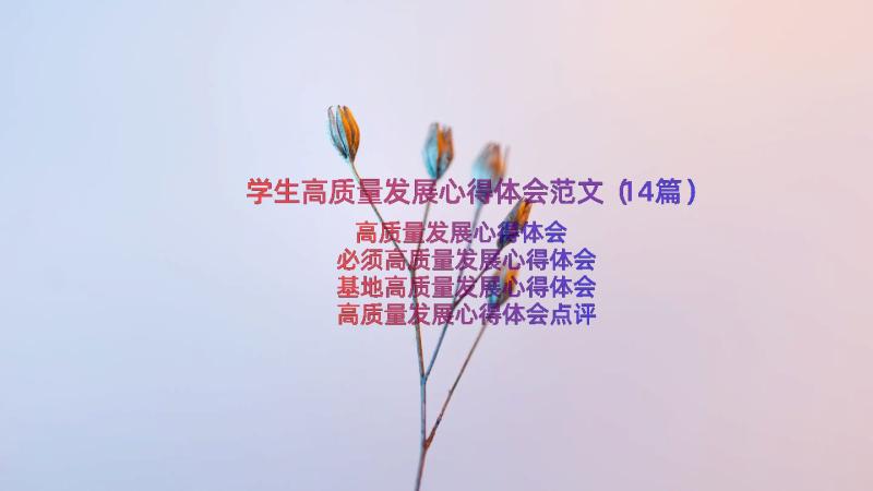 学生高质量发展心得体会范文（14篇）