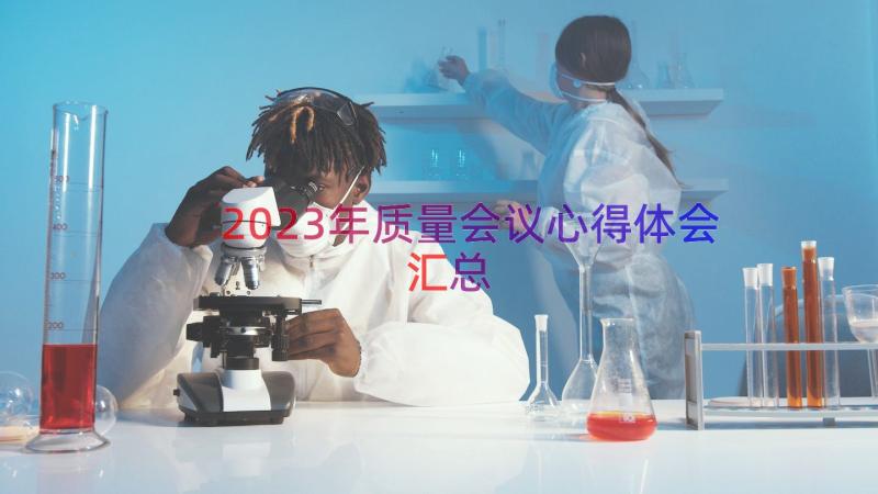 2023年质量会议心得体会（汇总14篇）