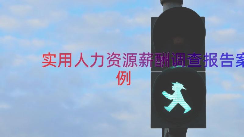 实用人力资源薪酬调查报告（案例19篇）