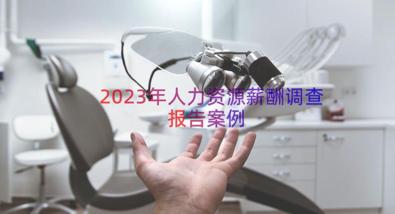 2023年人力资源薪酬调查报告（案例13篇）