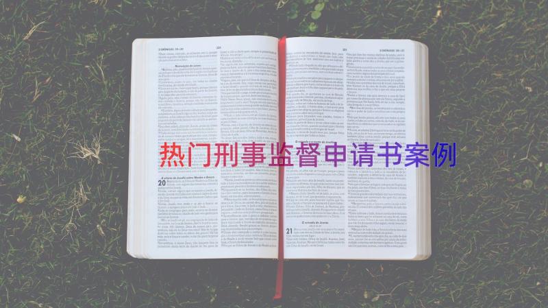 热门刑事监督申请书（案例13篇）